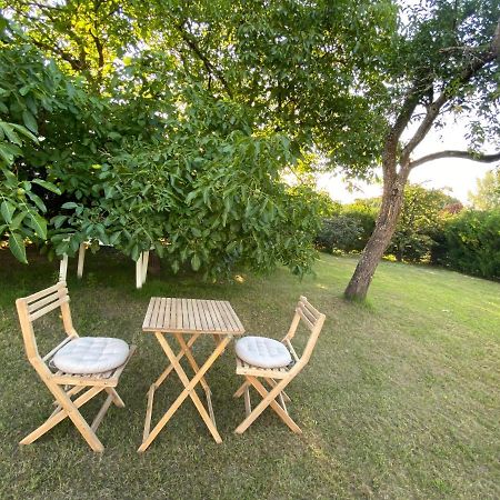 Ingwiller Au Paradis D'Alsace 55 M2 Nature & Relax מראה חיצוני תמונה