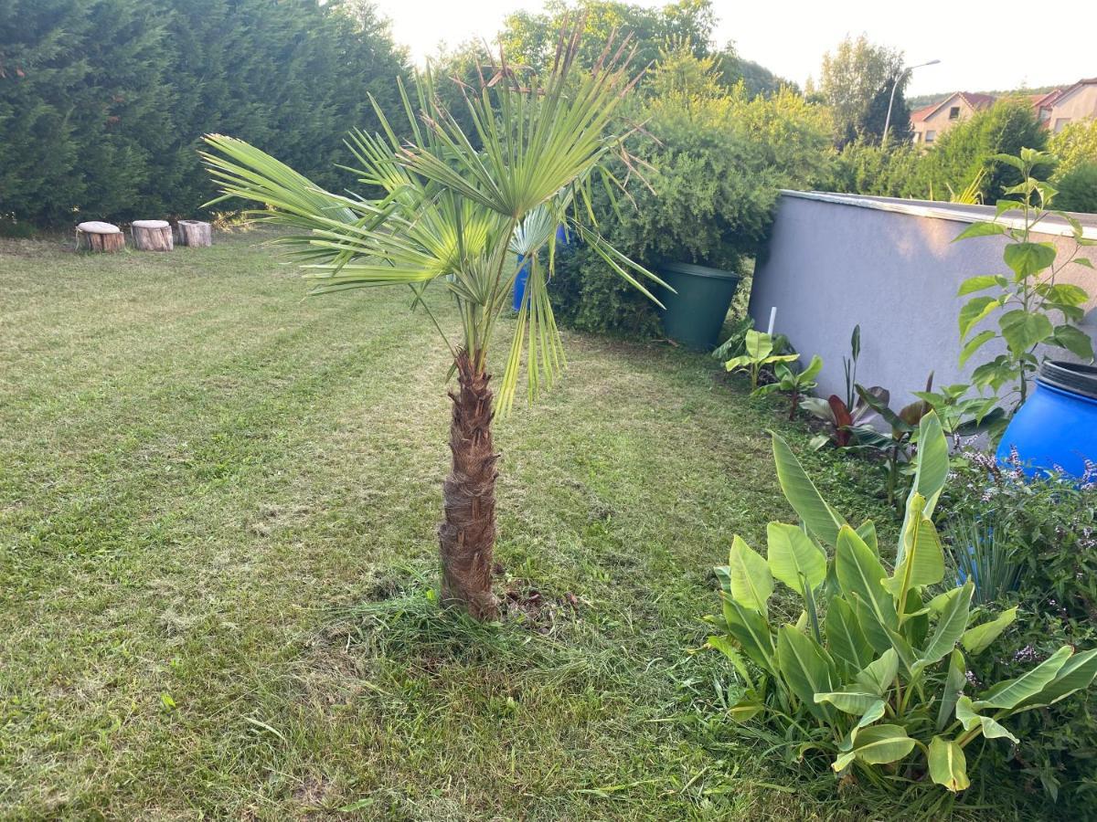 Ingwiller Au Paradis D'Alsace 55 M2 Nature & Relax מראה חיצוני תמונה