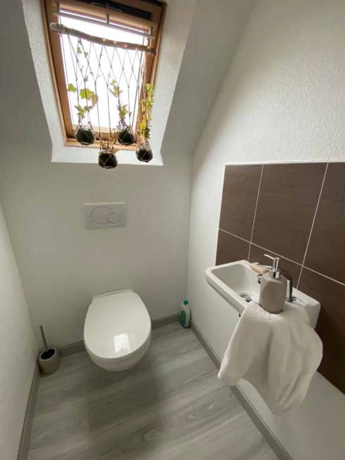 Ingwiller Au Paradis D'Alsace 55 M2 Nature & Relax מראה חיצוני תמונה