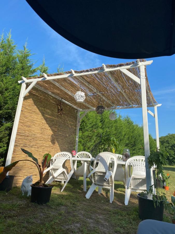 Ingwiller Au Paradis D'Alsace 55 M2 Nature & Relax מראה חיצוני תמונה