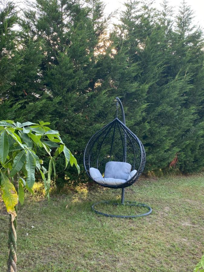 Ingwiller Au Paradis D'Alsace 55 M2 Nature & Relax מראה חיצוני תמונה